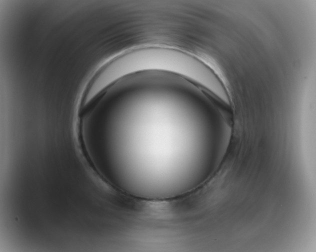 X0000089701136200707051639