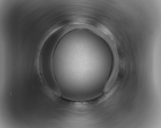 X0000089701138200707051639