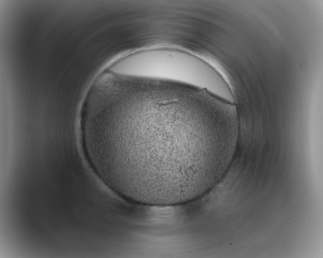 X0000089701142200707051639