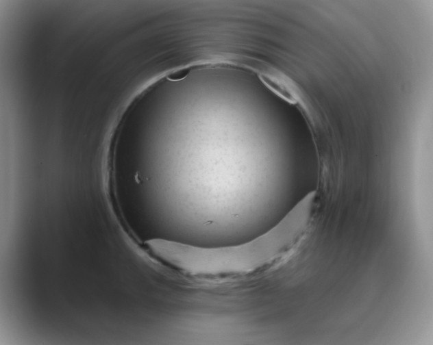 X0000089701143200707051639