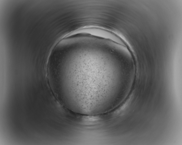 X0000089701145200707051639