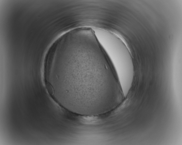 X0000089701147200707051639