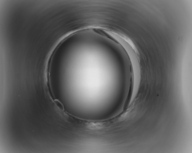 X0000089701148200707051639