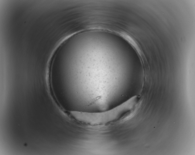 X0000089701149200707051639