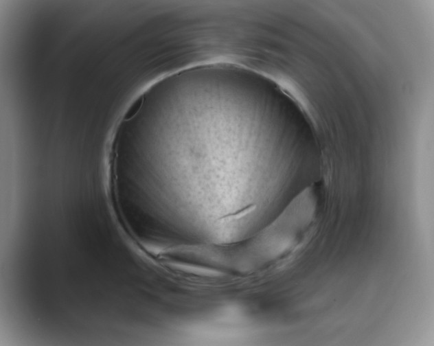 X0000089701151200707051639