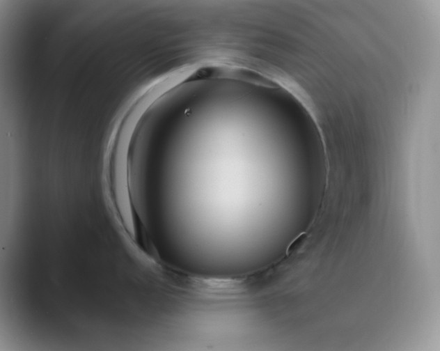 X0000089701152200707051639