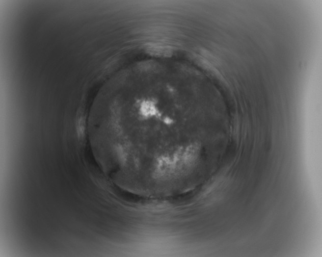 X0000089701154200707051638