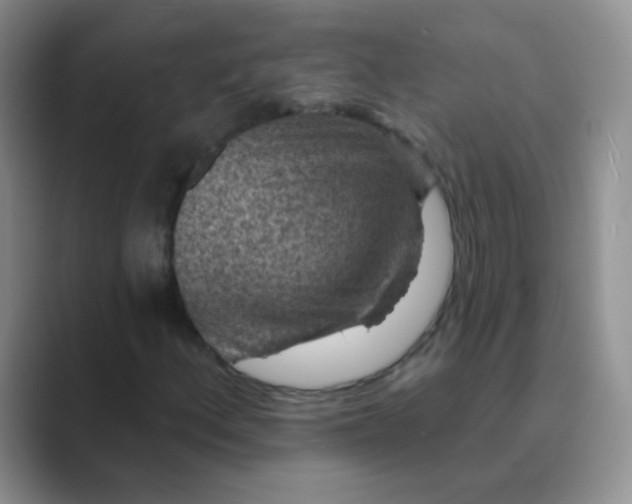 X0000089701156200707051638