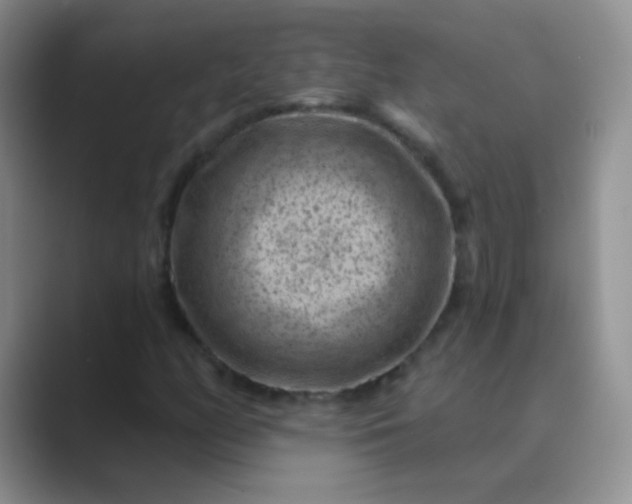 X0000089701158200707051638