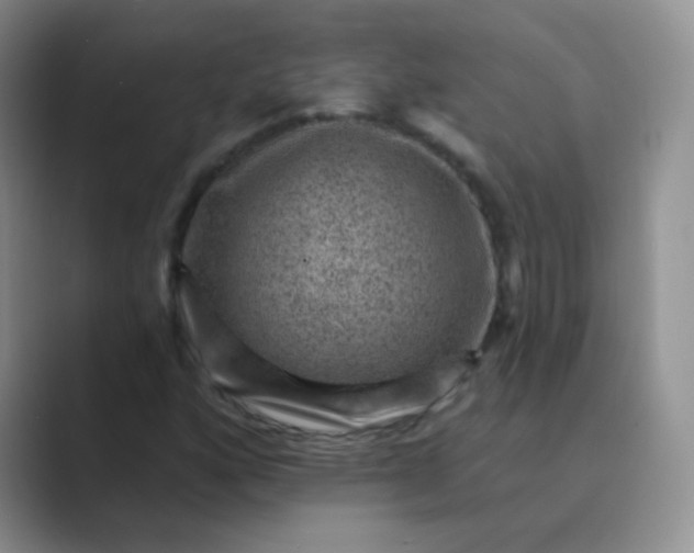 X0000089701160200707051638