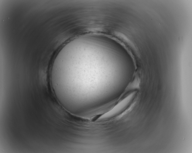 X0000089701162200707051638