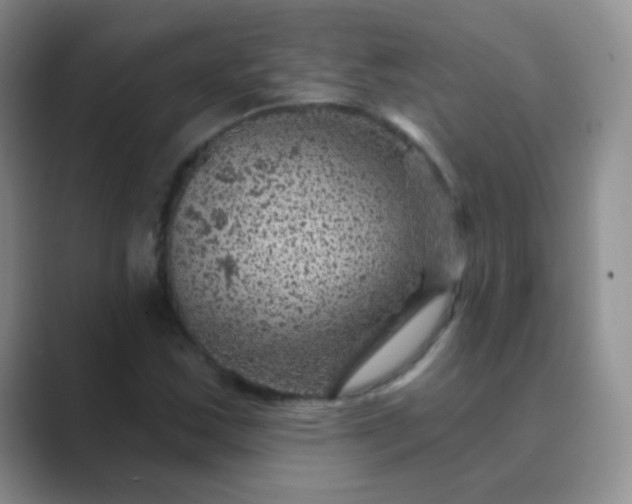 X0000089701163200707051638