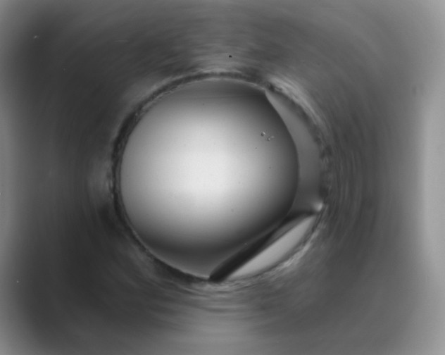 X0000089701164200707051638