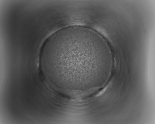 X0000089701165200707051638