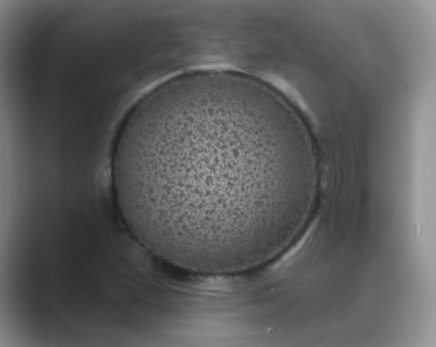 X0000089701167200707051638