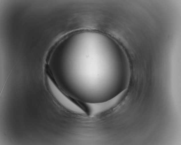 X0000089701168200707051638