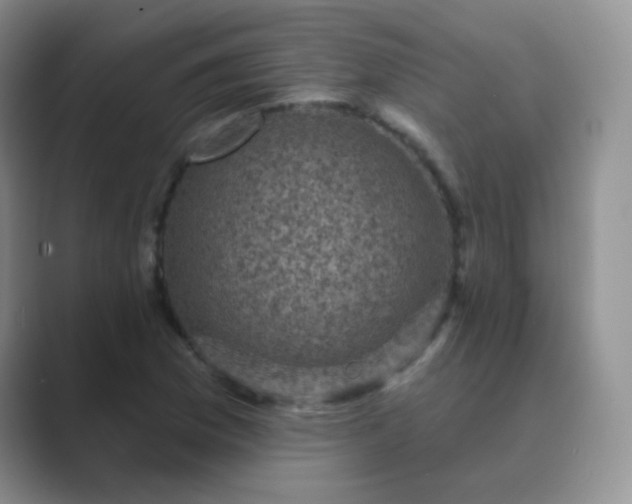 X0000089701169200707051638