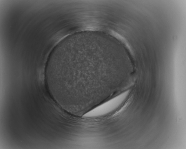 X0000089701170200707051638