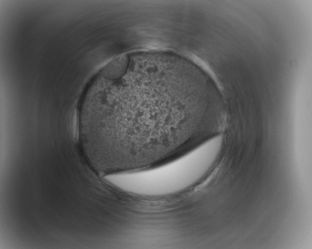 X0000089701171200707051638