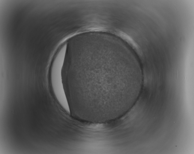 X0000089701174200707051638