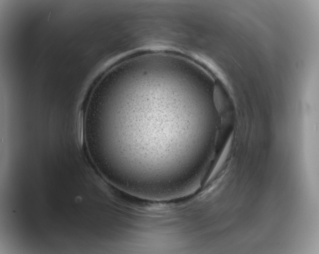 X0000089701175200707051638