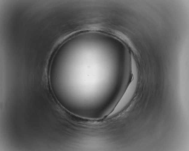 X0000089701176200707051638