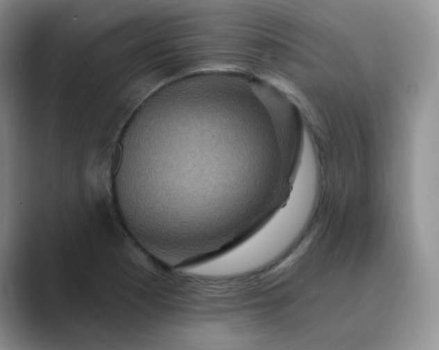 X0000089701177200707051638