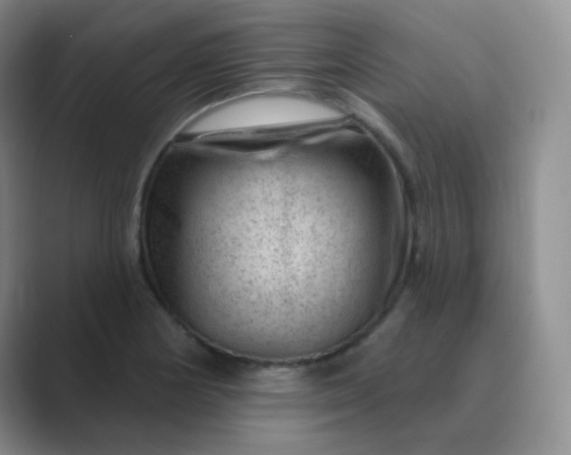 X0000089701178200707051638