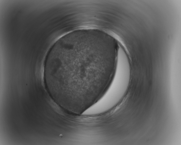 X0000089701179200707051638