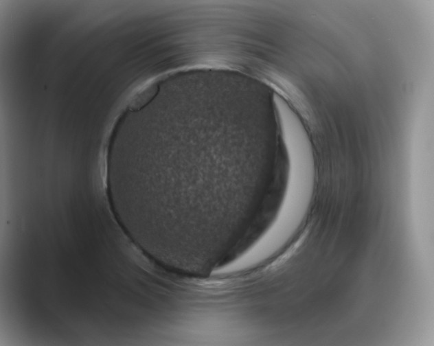 X0000089701180200707051638