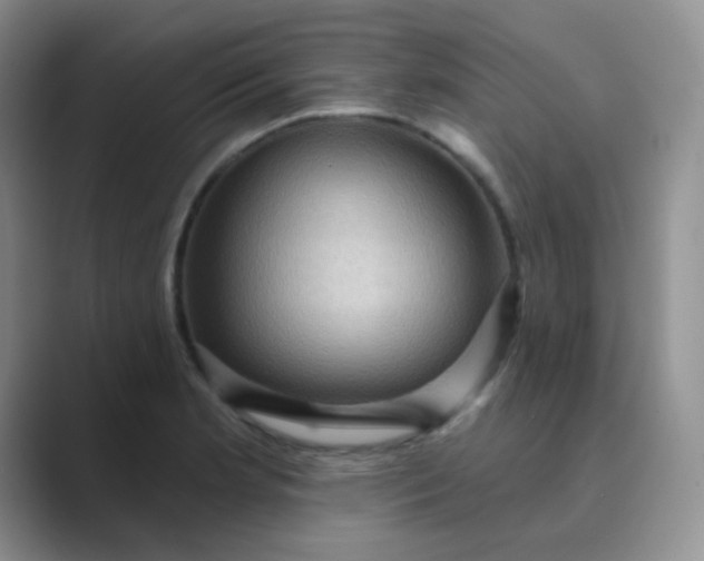 X0000089701181200707051638