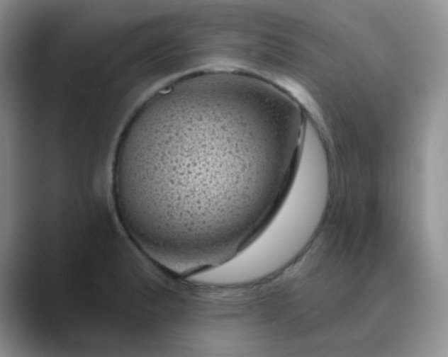 X0000089701183200707051638