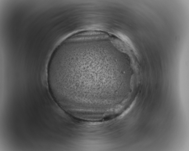 X0000089701184200707051638