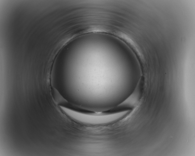 X0000089701185200707051638