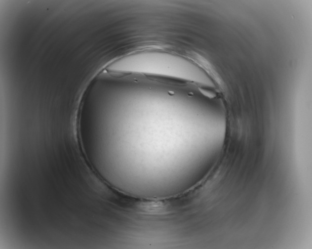 X0000089701186200707051638