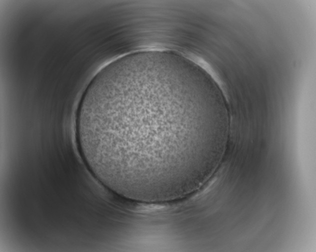 X0000089701187200707051638