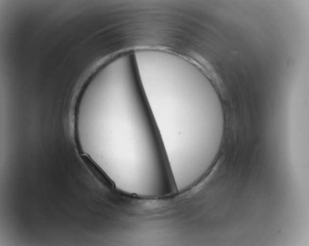 X0000089701188200707051638