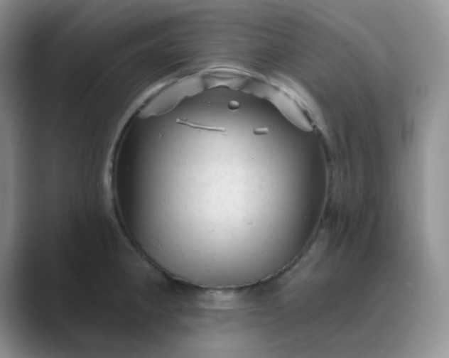 X0000089701190200707051638