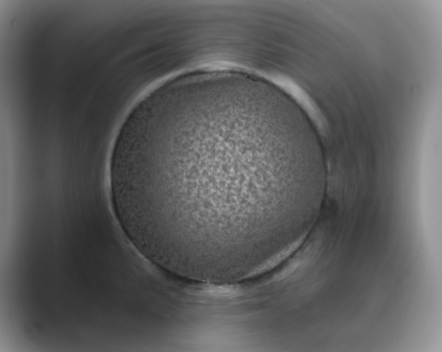 X0000089701191200707051638