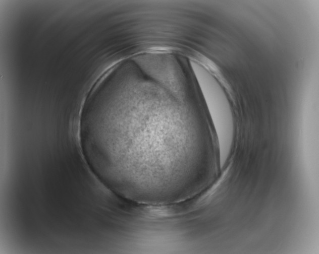 X0000089701194200707051638