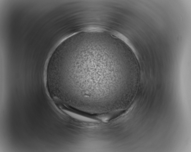 X0000089701195200707051638