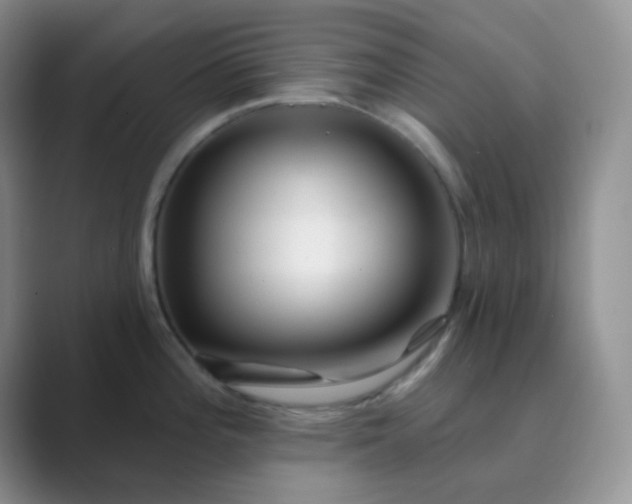 X0000089701196200707051638