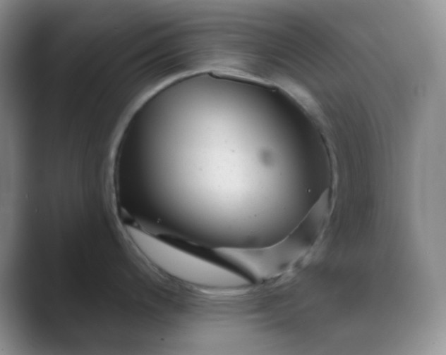 X0000089701200200707051638