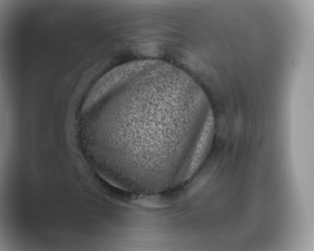 X0000089701201200707051637