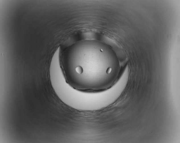 X0000089701202200707051637