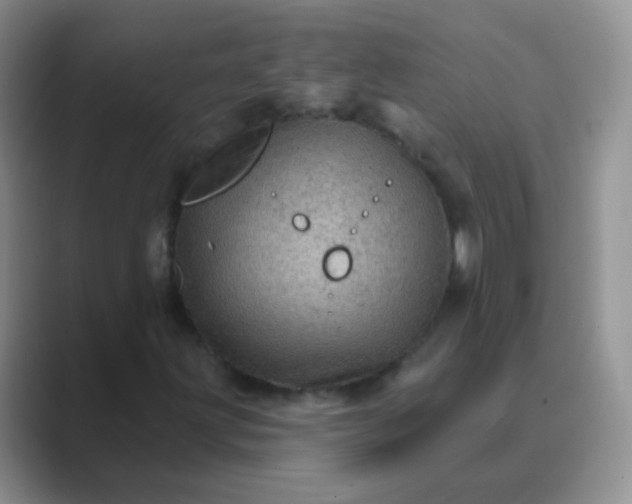 X0000089701203200707051637