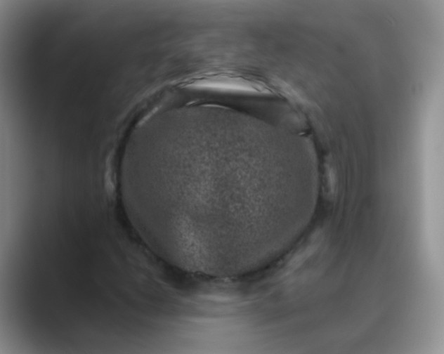 X0000089701206200707051637