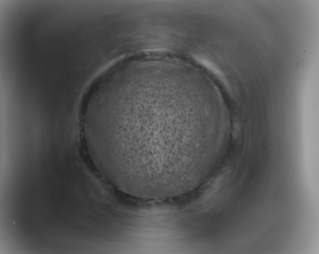 X0000089701208200707051637