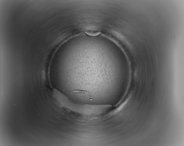 X0000089701209200707051637