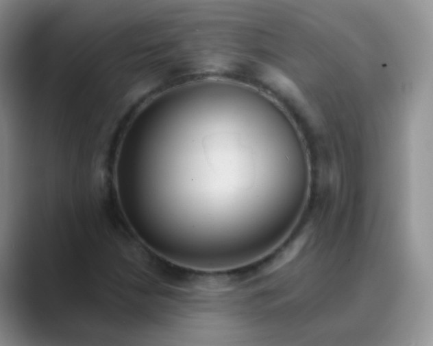 X0000089701210200707051637